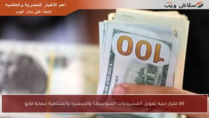 86 مليار جنيه تمويل المشروعات المتوسطة والصغيرة والمتناهية بنهاية مايو