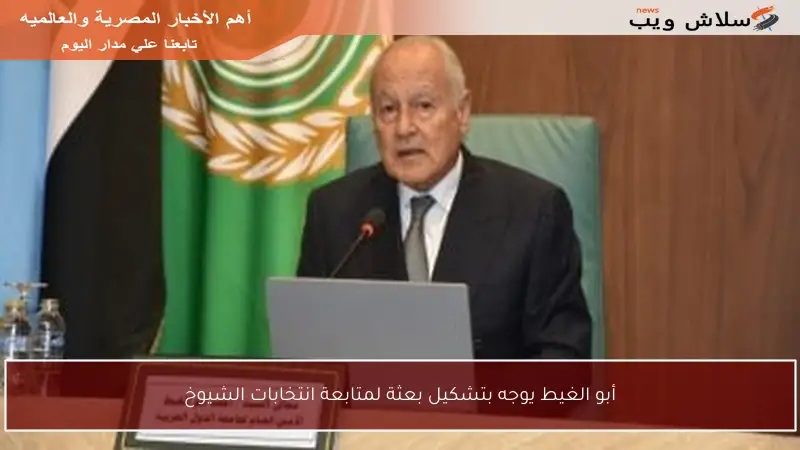 أبو الغيط يوجه بتشكيل بعثة لمتابعة انتخابات الشيوخ