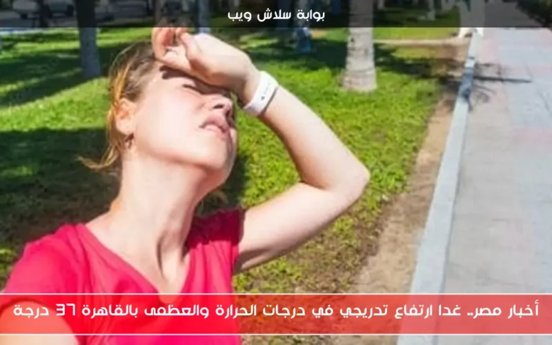 أخبار مصر.. غدا ارتفاع تدريجي في درجات الحرارة والعظمى بالقاهرة 37 درجة