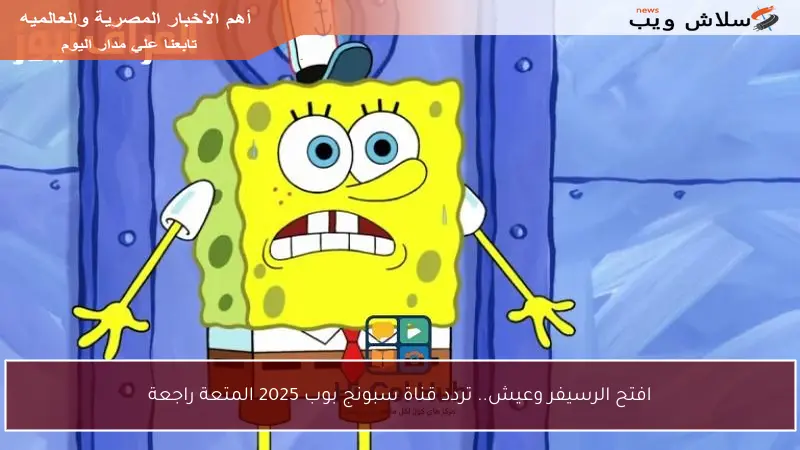 افتح الرسيفر وعيش.. تردد قناة سبونج بوب 2025 المتعة راجعة