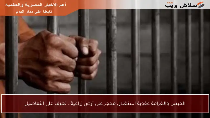 الحبس والغرامة عقوبة استغلال محجر على أرض زراعية.. تعرف على التفاصيل