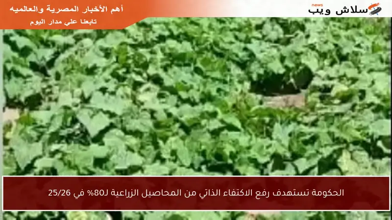 الحكومة تستهدف رفع الاكتفاء الذاتي من المحاصيل الزراعية لـ80% في 25/26