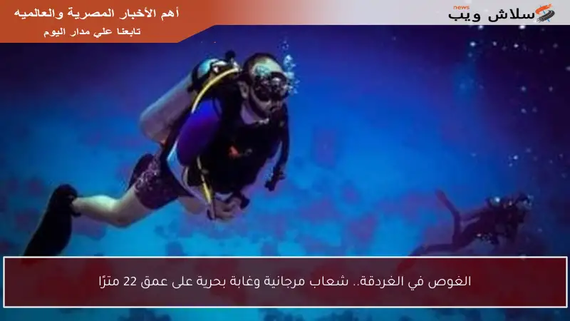 الغوص في الغردقة.. شعاب مرجانية وغابة بحرية على عمق 22 مترًا