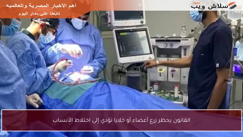 القانون يحظر زرع أعضاء أو خلايا تؤدي إلى اختلاط الأنساب