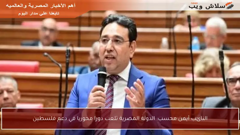 النائب أيمن محسب: الدولة المصرية تلعب دورا محوريا في دعم فلسطين