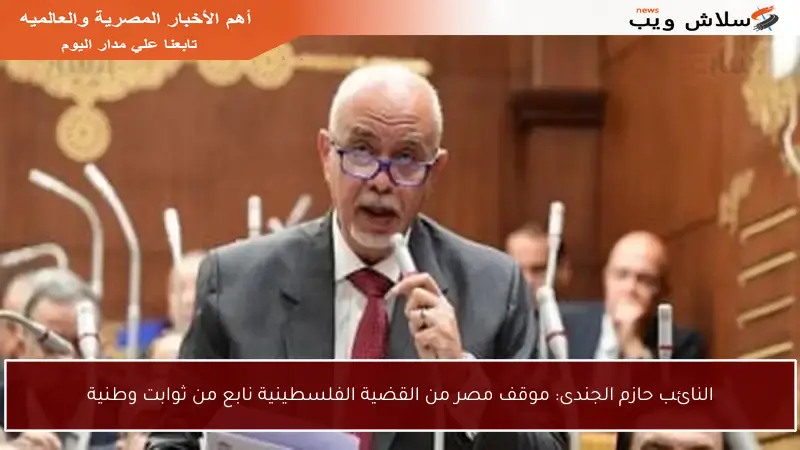 النائب حازم الجندى: موقف مصر من القضية الفلسطينية نابع من ثوابت وطنية