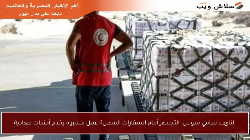 النائب سامي سوس: التجمهر أمام السفارات المصرية عمل مشبوه يخدم أجندات معادية