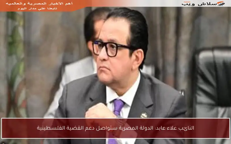 النائب علاء عابد: الدولة المصرية ستواصل دعم القضية الفلسطينية