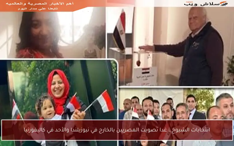 انتخابات الشيوخ.. غدا تصويت المصريين بالخارج في نيوزيلندا والأحد في كاليفورنيا