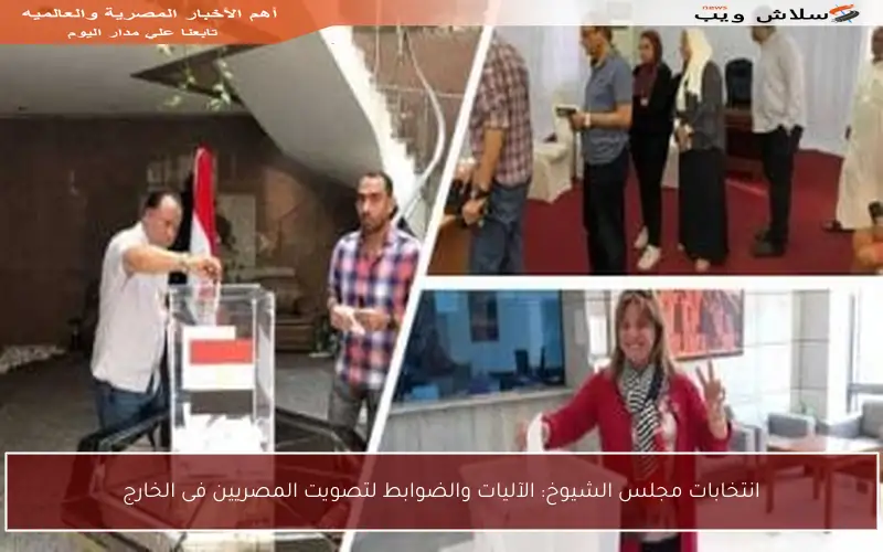 انتخابات مجلس الشيوخ: الآليات والضوابط لتصويت المصريين فى الخارج