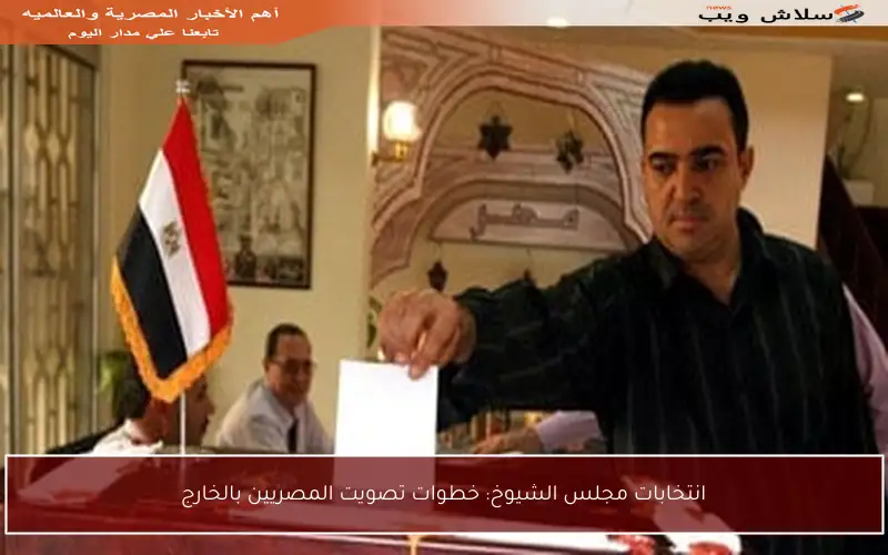 انتخابات مجلس الشيوخ: خطوات تصويت المصريين بالخارج