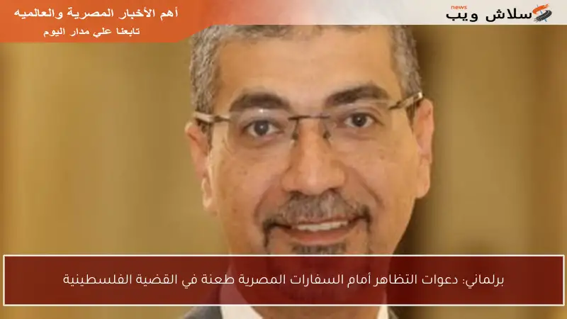 برلماني: دعوات التظاهر أمام السفارات المصرية طعنة في القضية الفلسطينية