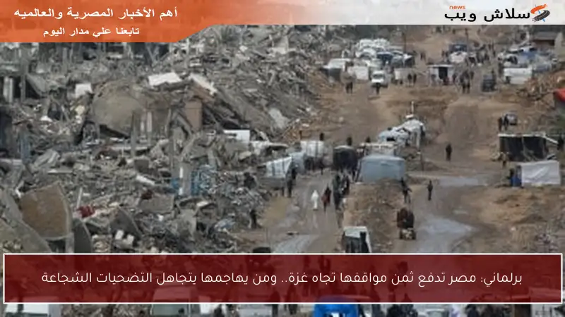 برلماني: مصر تدفع ثمن مواقفها تجاه غزة.. ومن يهاجمها يتجاهل التضحيات الشجاعة