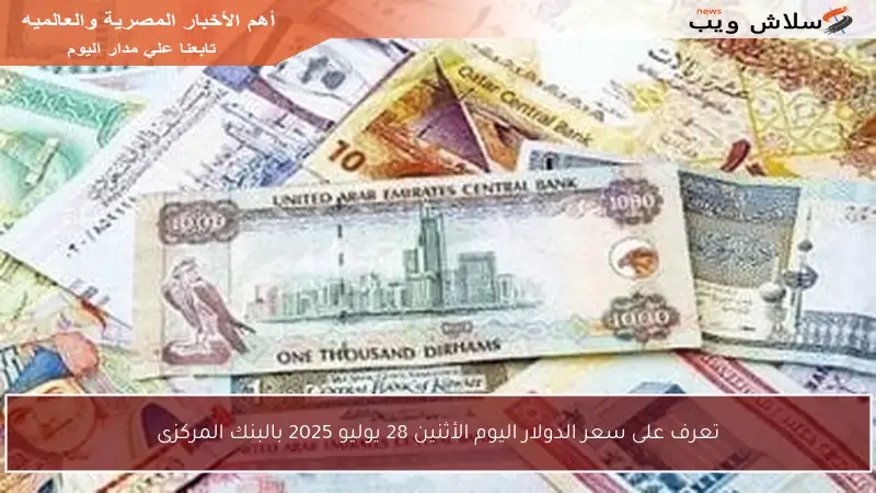 تعرف على سعر الدولار اليوم الأثنين 28 يوليو 2025 بالبنك المركزى
