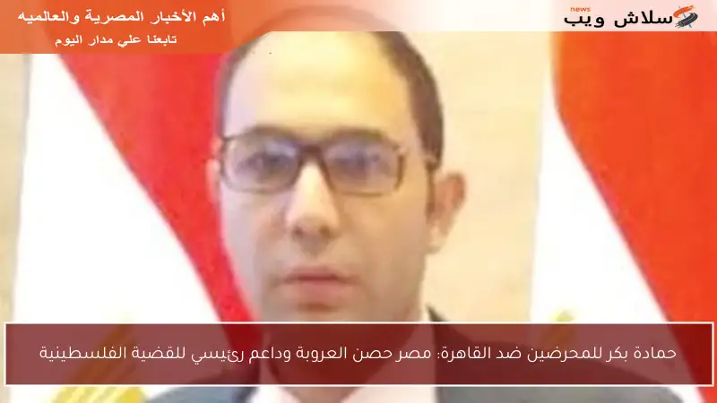 حمادة بكر للمحرضين ضد القاهرة: مصر حصن العروبة وداعم رئيسي للقضية الفلسطينية