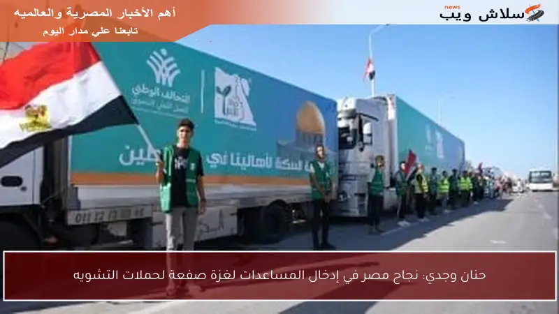 حنان وجدي: نجاح مصر في إدخال المساعدات لغزة صفعة لحملات التشويه