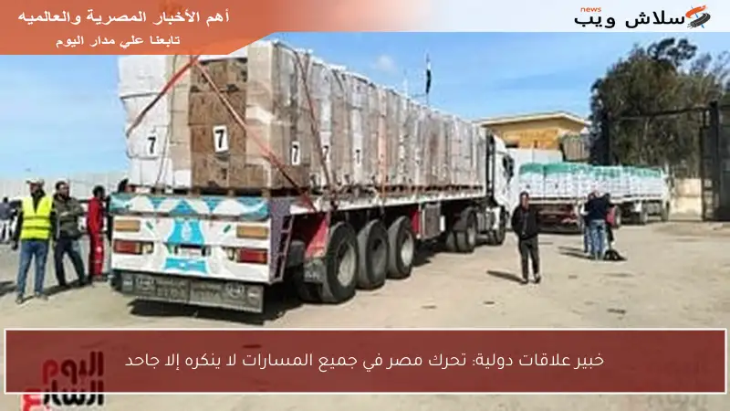 خبير علاقات دولية: تحرك مصر في جميع المسارات لا ينكره إلا جاحد