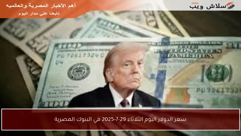 سعر الدولار اليوم الثلاثاء 29-7-2025 في البنوك المصرية