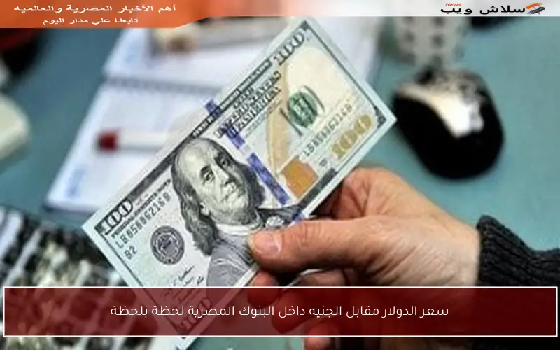 سعر الدولار مقابل الجنيه داخل البنوك المصرية لحظة بلحظة