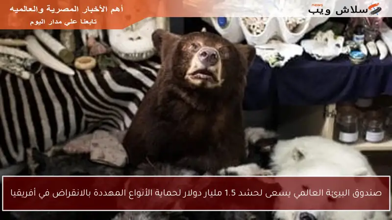 صندوق البيئة العالمي يسعى لحشد 1.5 مليار دولار لحماية الأنواع المهددة بالانقراض في أفريقيا