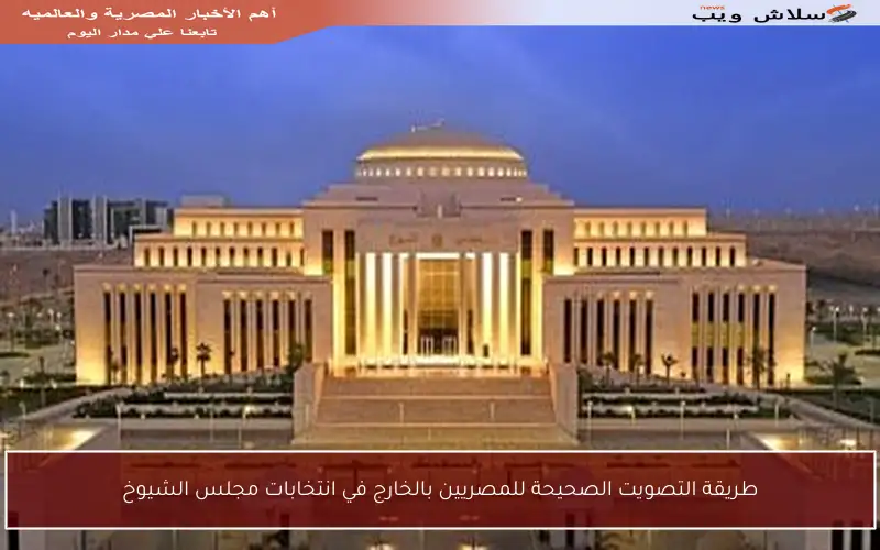 طريقة التصويت الصحيحة للمصريين بالخارج في انتخابات مجلس الشيوخ