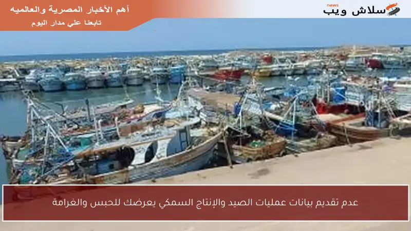 عدم تقديم بيانات عمليات الصيد والإنتاج السمكي يعرضك للحبس والغرامة