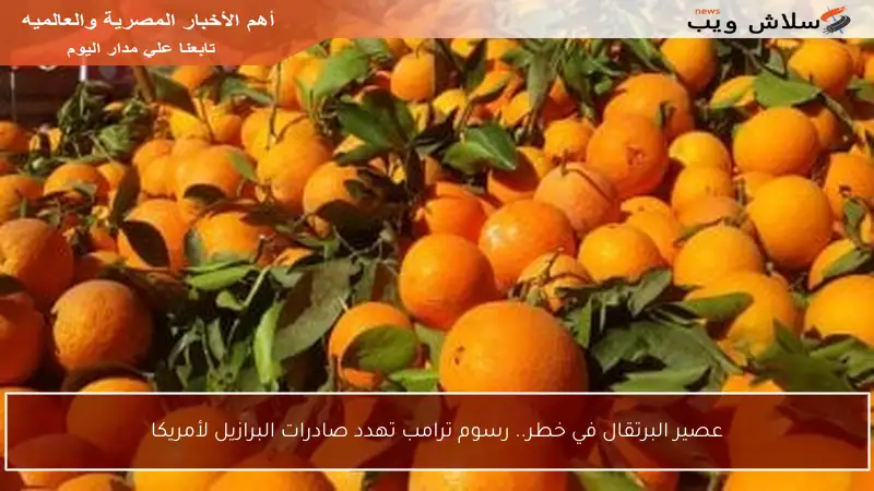 عصير البرتقال في خطر.. رسوم ترامب تهدد صادرات البرازيل لأمريكا