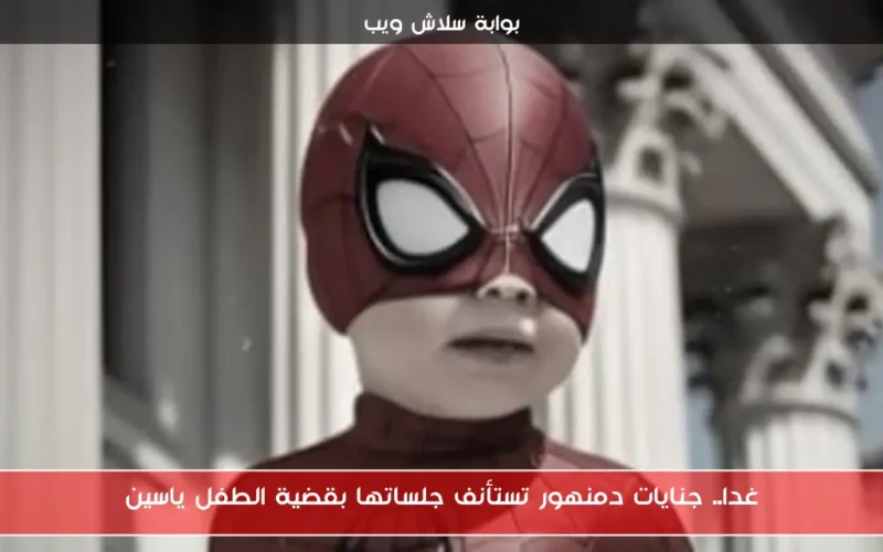 غدا.. جنايات دمنهور تستأنف جلساتها بقضية الطفل ياسين