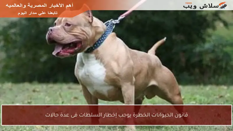 قانون الحيوانات الخطرة يوجب إخطار السلطات فى عدة حالات