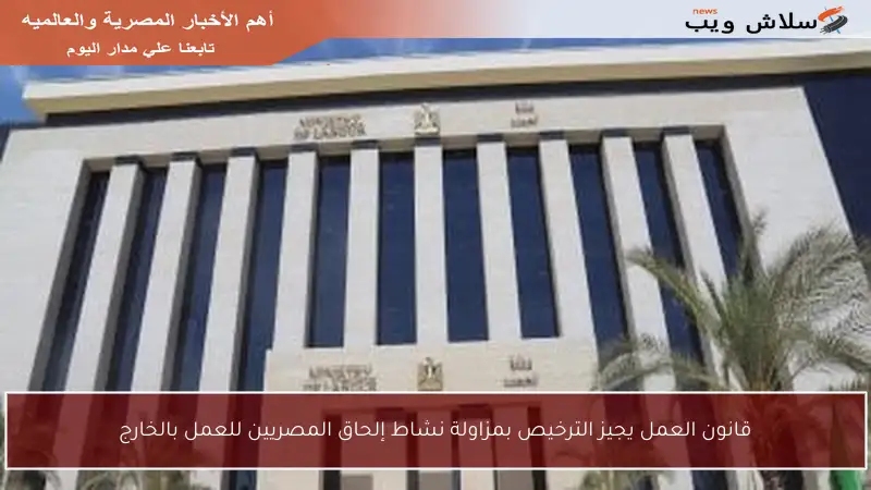 قانون العمل يجيز الترخيص بمزاولة نشاط إلحاق المصريين للعمل بالخارج