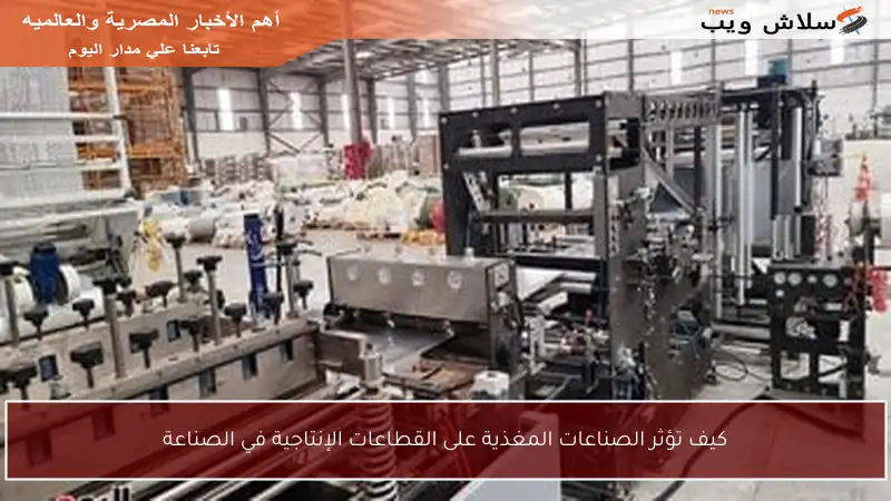 كيف تؤثر الصناعات المغذية على القطاعات الإنتاجية في الصناعة