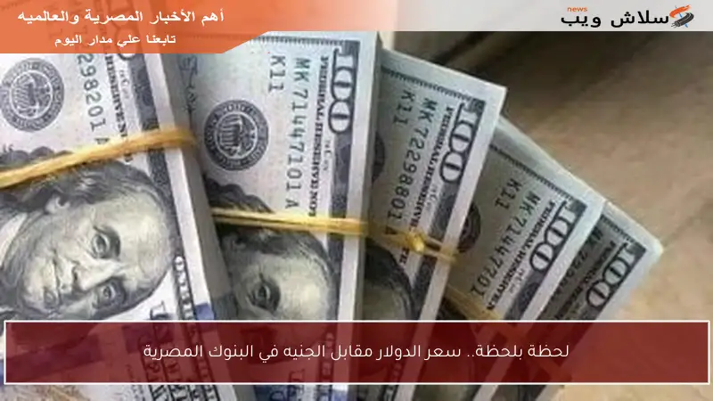 لحظة بلحظة.. سعر الدولار مقابل الجنيه في البنوك المصرية