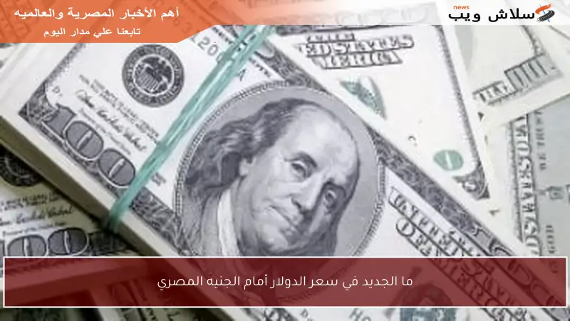 ما الجديد في سعر الدولار أمام الجنيه المصري