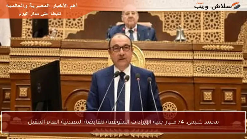 محمد شيمى: 74 مليار جنيه الإيرادات المتوقعة للقابضة المعدنية العام المقبل