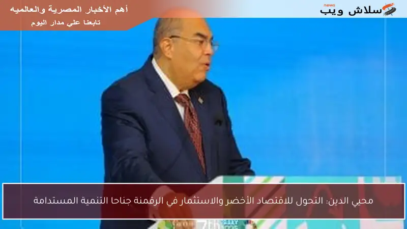 محيي الدين: التحول للاقتصاد الأخضر والاستثمار في الرقمنة جناحا التنمية المستدامة