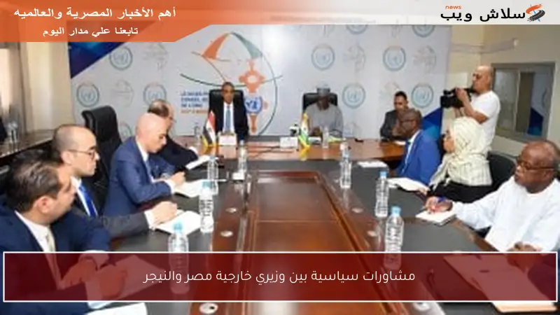 مشاورات سياسية بين وزيري خارجية مصر والنيجر