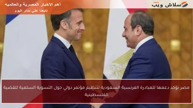 مصر تؤكد دعمها للمبادرة الفرنسية السعودية لتنظيم مؤتمر دولي حول التسوية السلمية للقضية الفلسطينية