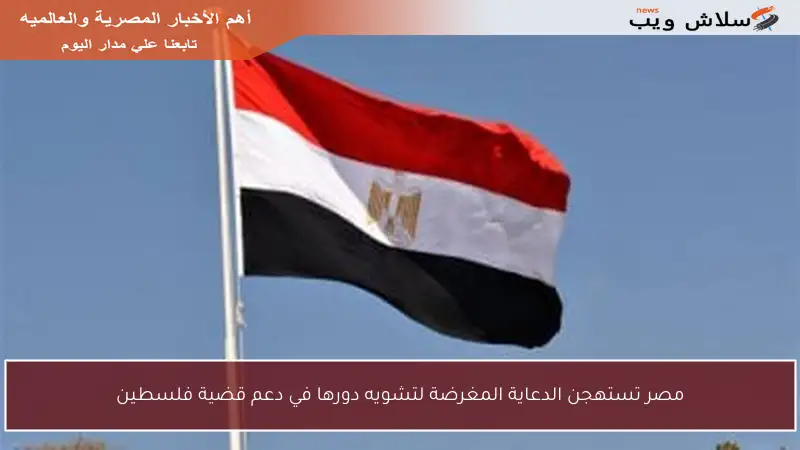 مصر تستهجن الدعاية المغرضة لتشويه دورها في دعم قضية فلسطين