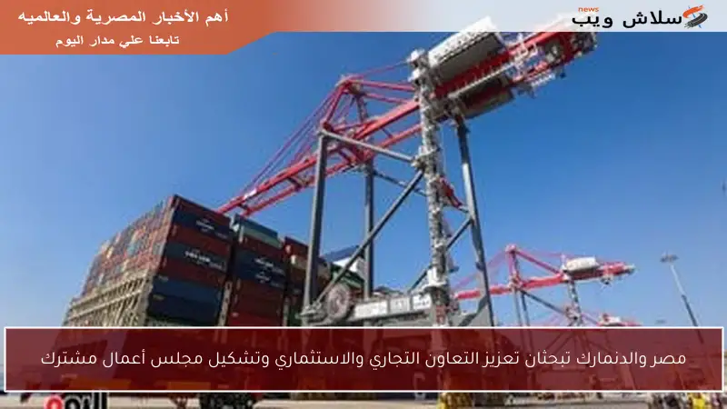 مصر والدنمارك تبحثان تعزيز التعاون التجاري والاستثماري وتشكيل مجلس أعمال مشترك