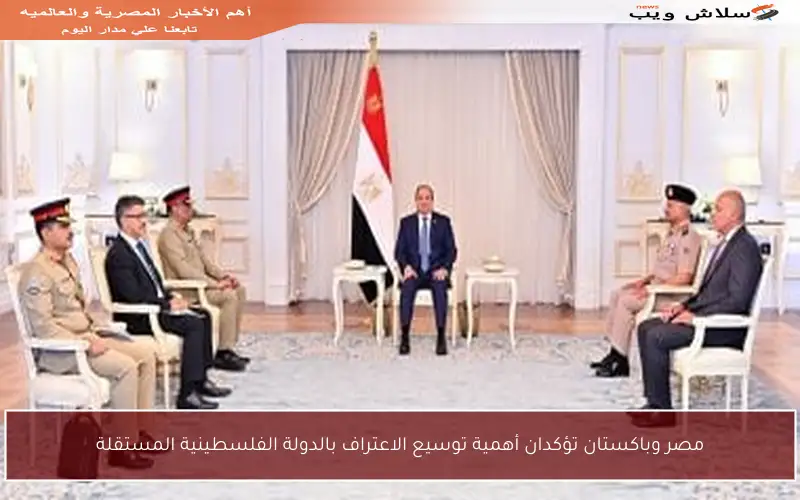 مصر وباكستان تؤكدان أهمية توسيع الاعتراف بالدولة الفلسطينية المستقلة