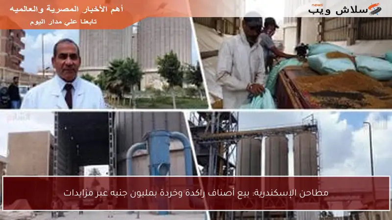 مطاحن الإسكندرية: بيع أصناف راكدة وخردة بمليون جنيه عبر مزايدات
