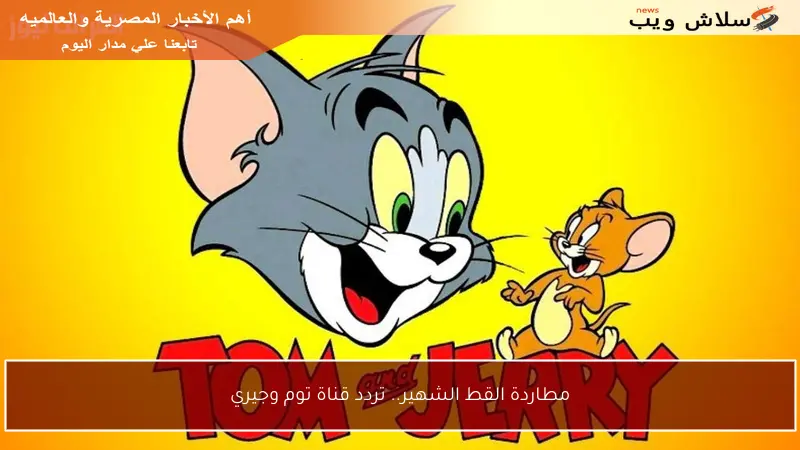 مطاردة القط الشهير.. تردد قناة توم وجيري
