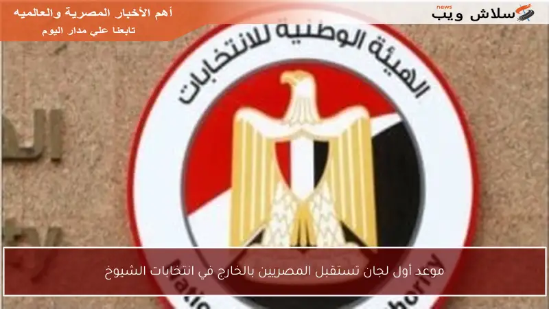 موعد أول لجان تستقبل المصريين بالخارج في انتخابات الشيوخ