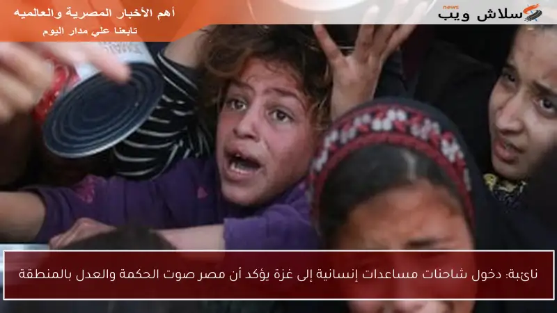 نائبة: دخول شاحنات مساعدات إنسانية إلى غزة يؤكد أن مصر صوت الحكمة والعدل بالمنطقة