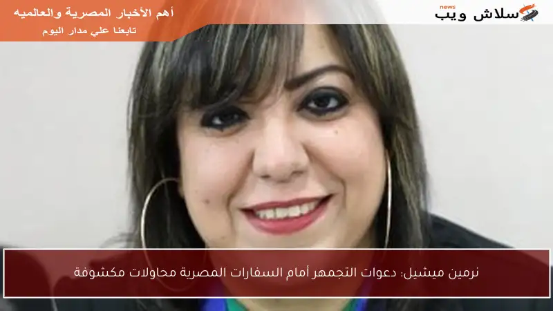 نرمين ميشيل: دعوات التجمهر أمام السفارات المصرية محاولات مكشوفة