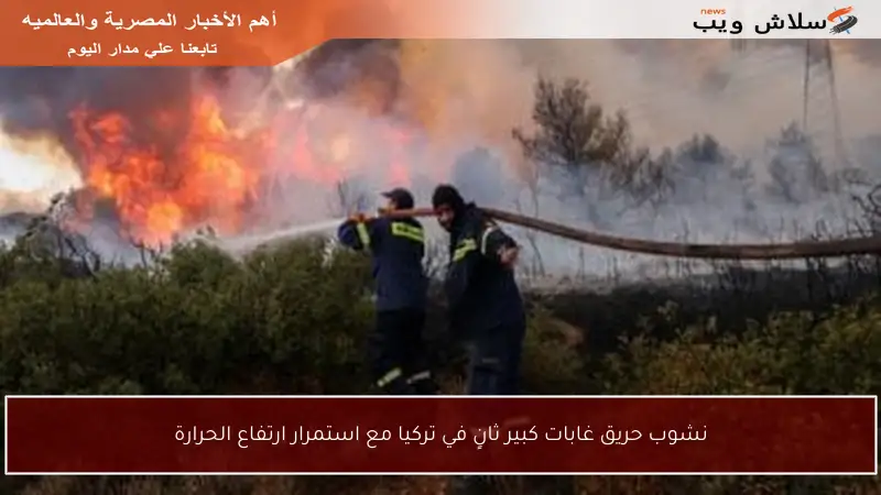 نشوب حريق غابات كبير ثانٍ في تركيا مع استمرار ارتفاع الحرارة