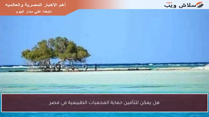 هل يمكن للتأمين حماية المحميات الطبيعية في مصر