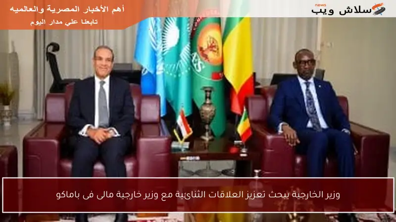 وزير الخارجية يبحث تعزيز العلاقات الثنائية مع وزير خارجية مالى فى باماكو