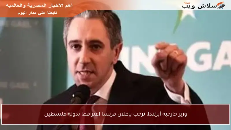 وزير خارجية أيرلندا: نرحب بإعلان فرنسا اعترافها بدولة فلسطين