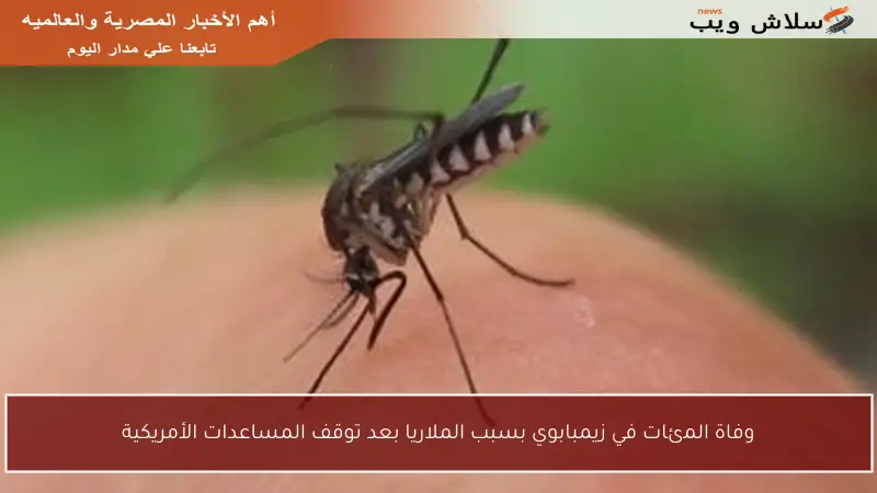 وفاة المئات في زيمبابوي بسبب الملاريا بعد توقف المساعدات الأمريكية